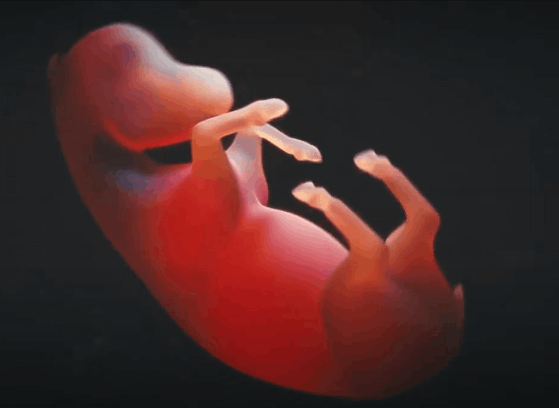 Brand animation and phone app animation